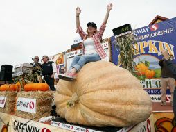 Cindy Tobeck dijo que el secreto para cultivar calabazas gigantes es utilizar la semilla correcta. AP / G. Reyes