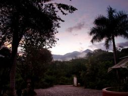 El Jardín Internacional de la Paz 2017 estará ubicado a las orillas de la entrada del Jardín Botánico de Vallarta. ESPECIAL / vbgardens.org