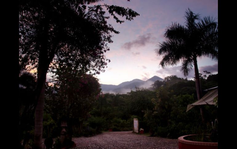 El Jardín Internacional de la Paz 2017 estará ubicado a las orillas de la entrada del Jardín Botánico de Vallarta. ESPECIAL / vbgardens.org