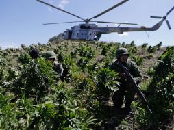 Para las labores de seguridad y combate al crimen organizado, en Sinaloa hay un despliegue de cinco mil elementos. SUN / I. Stephens