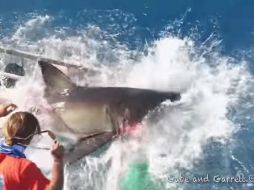 En la grabación se aprecia el momento en que el escualo ingresa a la jaula; registra miles de reproducciones en redes sociales. YOUTUBE / Great White Shark Cage Breach Accident