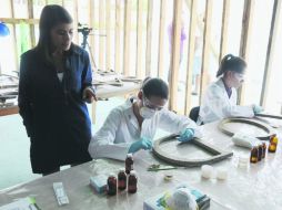 Karla Jáuregui supervisa los procesos para la restauración de las letras de aleación de cobre. EL INFORMADOR / R. Tamayo