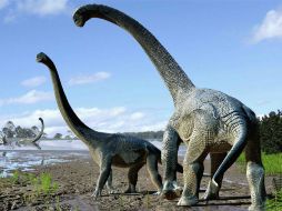 El Savannasaurus elliottorum podría haber llegado hace 105 millones de años desde Sudamérica. ESPECIAL / www.australianageofdinosaurs.com