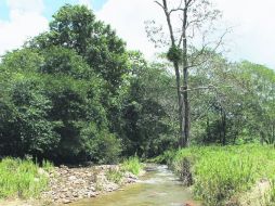 Arroyo los Añiles, hermoso y pacífico. ESPECIAL /