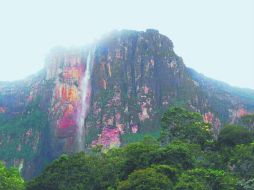 Monumental. Desde las planas alturas del Auyán Tepuy se deja caer 979 metros en caída libre la catarata más alta del mundo. ESPECIAL /