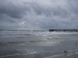 Se prevé la llegada a la costa del Pacífico, las tormentas podrían estar acompañadas de chubascos y descargas eléctricas. AP / ARCHIVO