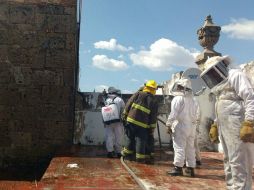 Los Bomberos procedieron al uso de mangueras con agua para el retiro de la colmena. ESPECIAL / Bomberos de Guadalajara