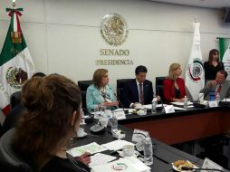 Arely Gómez González inicia su comparecencia ante la Comisión de Anticorrupción y Participación Ciudadana del Senado. TWITTER / @ArelyGomezGlz