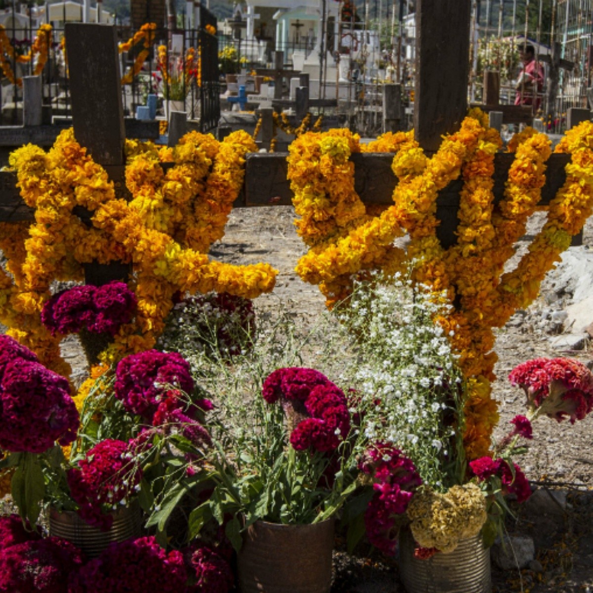 Flores de cempasúchil adornan panteones en Tixtla | El Informador