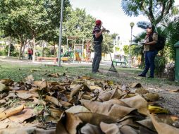 En el país se generan 30 millones de toneladas anuales de deshechos que podría tener un fin más eficiente. EL INFORMADOR / ARCHIVO