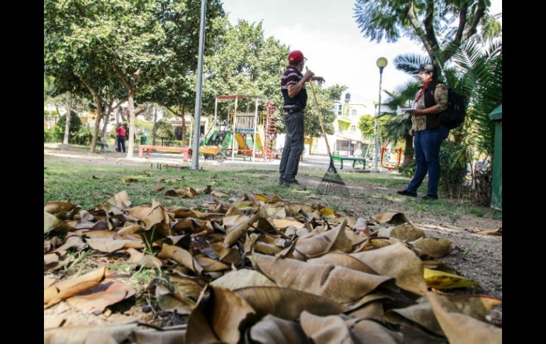 En el país se generan 30 millones de toneladas anuales de deshechos que podría tener un fin más eficiente. EL INFORMADOR / ARCHIVO