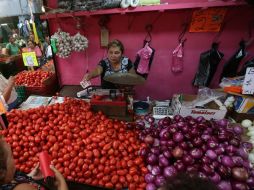 Algunos de los principales comestibles producidos en la región son trigo, papa, garbanzo, cebolla, jitomate y sorgo. EL INFORMADOR / ARCHIVO