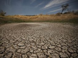 Para 2025 mil 800 millones de personas podrían vivir en regiones con escasez absoluta de agua. EL INFORMADOR / ARCHIVO