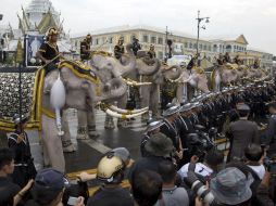 Antes de retirarse para regresar a las caballerizas de Ayutthaya, la hilera de elefantes ofreció un espectáculo a los presentes. AP /  M. Baker