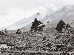 La ligera capa de nieve de cinco centímetros atrajo como imán a  familias y parejas que disfrutaron del momento. SUN / J. Alvarado