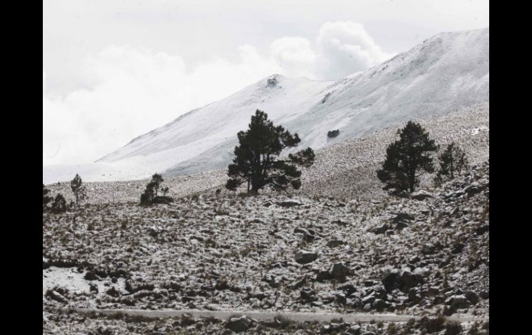 La ligera capa de nieve de cinco centímetros atrajo como imán a  familias y parejas que disfrutaron del momento. SUN / J. Alvarado