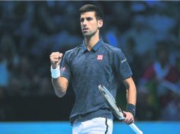 Djokovic tuvo un complicado encuentro ante el canadiense Raonic, pero supo sacar el juego. AFP / G. Kirk