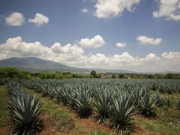 Según el lic. Velasco el tequila es un sinónimo de tradición y un orgullo para los mexicanos. EL INFORMADOR / ARCHIVO