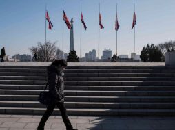 Las banderas de edificios oficiales ondearán a media asta en homenaje a Castro. AFP / E. Jones