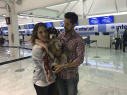 La empresa reseñó en sus cuentas de redes sociales el proceso de búsqueda del perro. TWITTER / @interjet