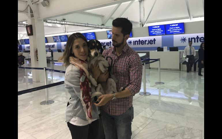 La empresa reseñó en sus cuentas de redes sociales el proceso de búsqueda del perro. TWITTER / @interjet