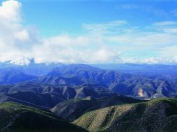 Se busca atender problemas ambientales que mejoren las condiciones de los bosques y selvas de Jalisco. NTX / ARCHIVO