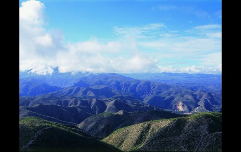 Se busca atender problemas ambientales que mejoren las condiciones de los bosques y selvas de Jalisco. NTX / ARCHIVO