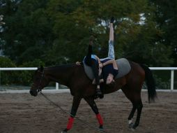 La práctica de esta disciplina ecuestre consiste en realizar acrobacias sobre un caballo a galope. EL INFORMADOR / R. Tamayo