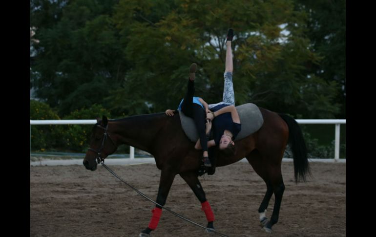 La práctica de esta disciplina ecuestre consiste en realizar acrobacias sobre un caballo a galope. EL INFORMADOR / R. Tamayo