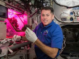 El astronauta Shane Kimbrough inició con el cultivo en el espacio el 25 de octubre como parte del experimento ''Veggie'. TWITTER / @ISS_Research