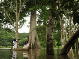 Los ciudadanos buscan fortalecer la unidad que los pueblos indígenas de la Selva han tenido desde 1970. EFE / ARCHIVO