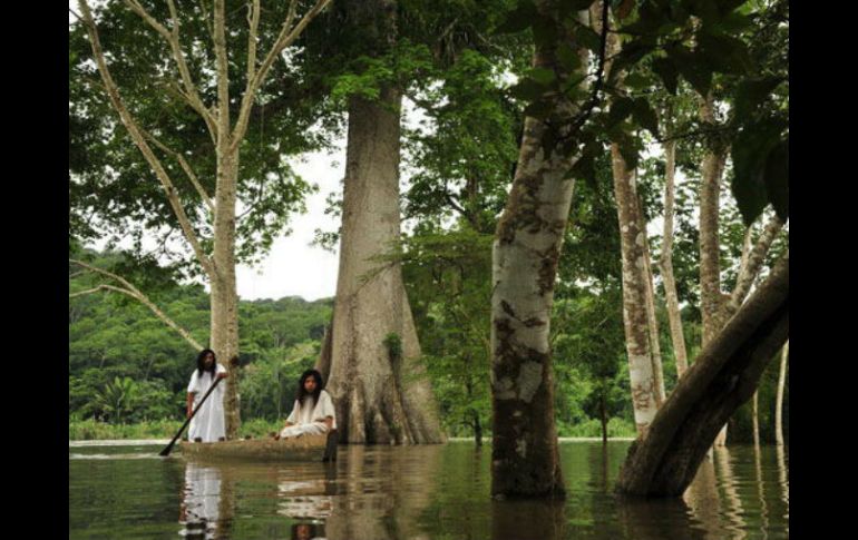 Los ciudadanos buscan fortalecer la unidad que los pueblos indígenas de la Selva han tenido desde 1970. EFE / ARCHIVO