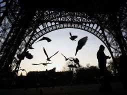 Palomas y gaviotas vuelan por debajo del popular monumento. AP / F. Mori