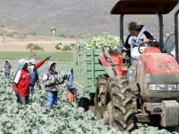 Jalisco se coloca como la potencia exportadora agropecuaria de México, afirma la Seder. EL INFORMADOR / ARCHIVO