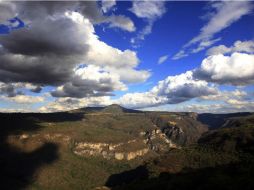 Vista panorámica de la Barranca de Huentitán, área rica en vida silvestre. EL INFORMADOR / A. García