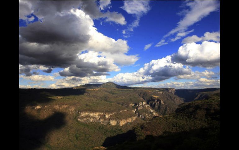 Vista panorámica de la Barranca de Huentitán, área rica en vida silvestre. EL INFORMADOR / A. García