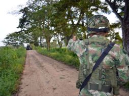 'Timocheko' aseguró que los militares se adentraron en la zona de preagrupamiento lo que puso 'en extrema tensión' el cese el fuego. AFP / ARCHIVO