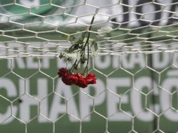 El Chapecoense jugará la Copa Libertadores por primera vez en su historia como campeón de la Copa Sudamericana. AP / ARCHIVO