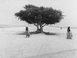 La exposición ofrece imágenes poéticas tomadas de la naturaleza y la figura femenina. ESPECIAL / throckmorton-nyc.com