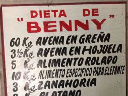 El elefante Benny, que pesaba 4.200 kilos y había llegado al parque en 2014, recientemente había sido acoplado con la elefanta Bireky. TWITTER / @PROFEPA_Mx