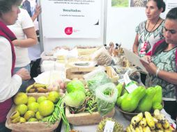 Las familias beneficiadas han plantado todo tipo de hortalizas que ya venden en municipios cercanos a sus comunidades. ESPECIAL /