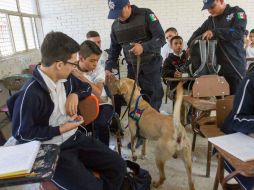 Policías revisan con perros en Monterrey las pertenencias de los alumnos. AFP / J. Aguilar