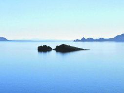 Los azules de Bahía Concepción en el Golfo de  California. EL INFORMADOR / P. Fernández