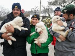 El vocero de los bomberos dice que el hallazgo de los perritos demuestra que hay condiciones para la vida debajo de la nieve. AP / A. Di Meo