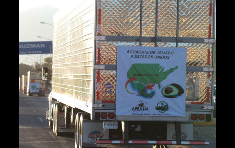 Calzada destaca que sólo en los días del Super Tazón LI van a vender 200 millones de dólares de aguacate. EL INFORMADOR / ARCHIVO