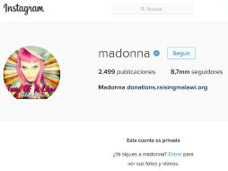 No se sabe si la decisión de la cantante está relacionada con la reciente polémica luego de su discurso en la Marcha de las Mujeres. ESPECIAL / instagram.com/madonna