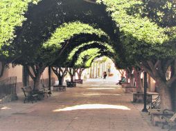 Hermoso. Un romántico y típico callejón de Loreto en Baja California. EL INFORMADOR / P. Fernández