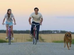 'A Dog's Purpose' estuvo en una controversia por el trato a uno de los perros y exhortos de boicot. YOUTUBE /  Universal Pictures