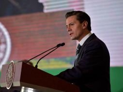 Tomarán como referente los cinco principios de política exterior y 10 objetivos instruidos por el Presidente Peña Nieto. EFE / ESPECIAL