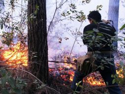 Estos incendios han sido catalogados por expertos como los séptimos peores de la historia a nivel mundial. NTX / A. Sepúlveda